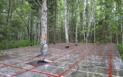 Dispositif expérimentale de sécheresse artificielle | Lac Duparquet | UQAT | IRF | GREMA