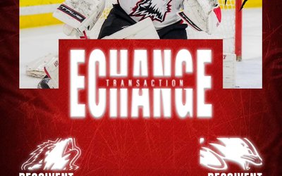 Samuel Meloche - Huskies