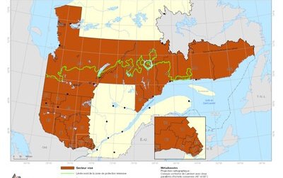 Carte d'interdiction des feux à ciel ouvert - 1er juin 2026